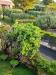 Villa in vendita con giardino a Bardolino - 04, Foto 4