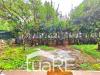 Appartamento in vendita con giardino a Roma in via giancarlo bitossi - 03, Foto 3