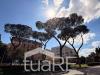 Appartamento in vendita con giardino a Roma in viale bruno buozzi - 04, Foto 4