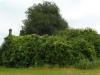 Terreno Agricolo in vendita a Roveredo di Gu - 05, gabetti vendita rustico con terreno Verona 732.jpg