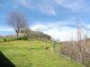Villa in vendita con giardino a Breganze - 04, gabetti vendita villa Breganze 763.jpg
