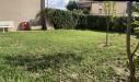 Appartamento in vendita con giardino a Ponsacco - 02