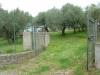 Terreno Agricolo in vendita a Albano Laziale in via dei noccioli 1 a - cancelliera - 02