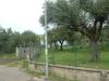 Terreno Agricolo in vendita a Albano Laziale in via dei noccioli 1 a - cancelliera - 07