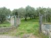 Terreno Agricolo in vendita a Albano Laziale in via dei noccioli 1 a - cancelliera - 08