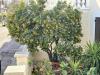 Villa in vendita con giardino a Olbia in via lazio 21 - 05, Foto 5