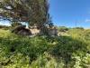 Terreno Agricolo in vendita a Santa Teresa Gallura in sp90 s.n.c. - 10, Foto 10