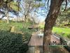 Villa in vendita con giardino a Banchette in via pistoni 36 - 05, GIARDINO