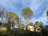 Casa indipendente in vendita con giardino a Serra San Quirico in clementina 189 - 03, Foto 3