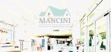 Attivit commerciale in gestione con giardino a Jesi in don minzoni 60 - 03, Foto 3
