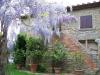 Villa in vendita a Cortona - 03