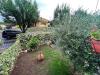 Villa in vendita con giardino a Besnate in via rossini 28 - 04, Foto 4