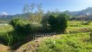 Terreno Agricolo in vendita a Massarosa in via argine padre pietro - 02, Foto 2
