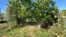 Terreno Agricolo in vendita a Massarosa in via argine padre pietro - 03, Foto 3