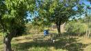 Terreno Agricolo in vendita a Massarosa in via argine padre pietro - 04, Foto 4