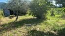 Terreno Agricolo in vendita a Massarosa in via argine padre pietro - 09, Foto 9