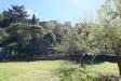 Villa in vendita con giardino a Vetralla in viale eugenio iv - 03, Foto 3