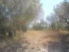 Terreno Agricolo in vendita a Vetralla in localita' cerracchio - 04, Foto 4