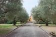 Villa in vendita con giardino a Vetralla in via della cava localita' dogane - 02, Foto 2