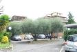 Ufficio in affitto con giardino a Roma in via della stazione di ciampino 14 - morena - 07