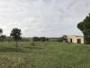 Terreno Agricolo in vendita a Cassano delle Murge - 04, IMG_9746.JPG