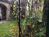 Appartamento in vendita con giardino a Lucca - centro storico - 04