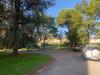 Appartamento in vendita con terrazzo a Lucca - san concordio contrada - 02