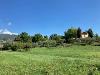 Rustico in vendita con giardino a Capannori - camigliano - 03