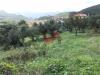 Terreno in vendita a Cautano - 04