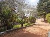 Villa in vendita con giardino a Foglianise in via consortile vitulanese snc - 05, Foto 5