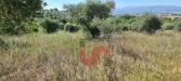 Terreno Agricolo in vendita a Benevento in contrada mosti - 04, Foto 4