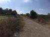 Terreno Agricolo in vendita a Benevento in contrada fontana margiacca - 03, Foto 3