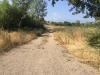 Terreno Agricolo in vendita a Benevento in contrada fontana margiacca - 04, Foto 4