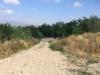 Terreno Agricolo in vendita a Benevento in contrada fontana margiacca - 05, Foto 5