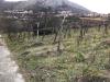 Terreno Agricolo in vendita a Foglianise in foglianise snc - 03, Foto 3