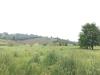 Terreno Agricolo in vendita a Foglianise in foglianise - 04, Foto 4