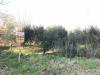 Terreno Edificabile in vendita a Benevento in santa clementina - 03, Foto 3