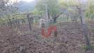 Terreno Agricolo in vendita a Foglianise in via comunale ospedale - 02, Foto 2