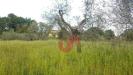 Terreno Agricolo in vendita a Foglianise in via comunale ospedale - 03, Foto 3