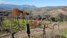 Terreno Agricolo in vendita a Benevento in contrada ponte valentino - 02, Foto 2