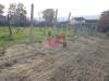 Terreno Agricolo in vendita a Benevento in contrada ponte valentino - 05, Foto 5