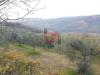 Terreno Agricolo in vendita a Benevento in contrada ponte valentino - 06, Foto 6