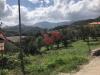 Terreno Agricolo in vendita a Cautano in via cupetelle - 10, Foto 10