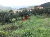 Terreno Agricolo in vendita a Cautano in via cupetelle - 04, Foto 4