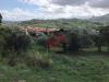 Terreno Agricolo in vendita a Cautano in via cupetelle - 08, Foto 8
