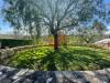 Casa indipendente in vendita con giardino a Calvi in via mirra piano colonna - 06, Foto 6