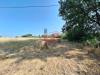 Terreno Agricolo in vendita a Benevento in contrada le murate - 05, Foto 5