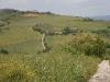 Terreno Agricolo in vendita a Campolattaro in contrada mottola - 04, Foto 4
