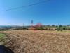 Terreno Agricolo in vendita a Benevento in contrada spezzacatene - 05, Foto 5
