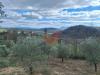 Terreno Agricolo in vendita a Foglianise in contrada palmenta - 10, Foto 10
